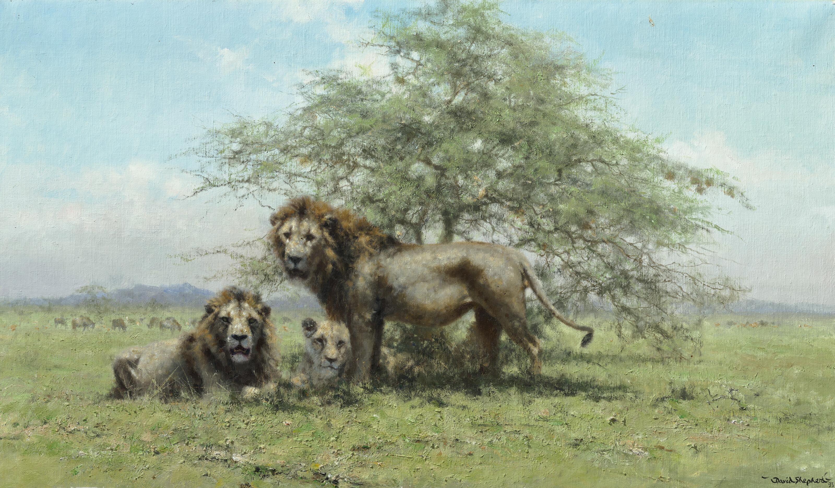 David Shepherd - Lions in the Serengeti Park, Tanzania