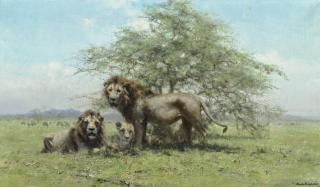 David Shepherd - Lions in the Serengeti Park, Tanzania