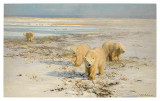 David Shepherd - Lone Wanderers (Polar Bears)