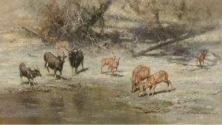 David Shepherd - Malawi Waterhole