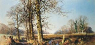 David Shepherd - March Sunlight