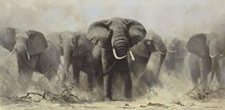 David Shepherd - Mostly Elephants