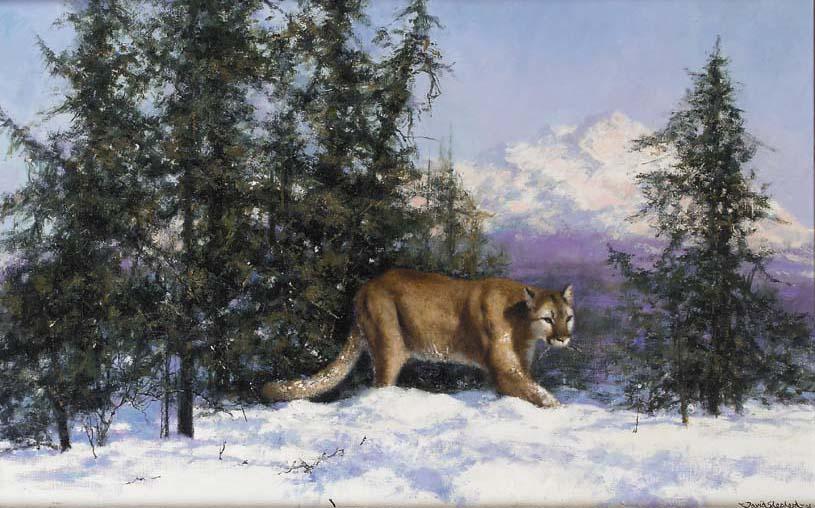 David Shepherd - Mountain Lion