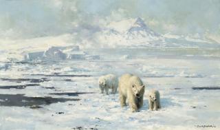 David Shepherd - Polar bears in dangerous territory