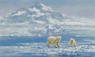 David Shepherd - Polar Bears
