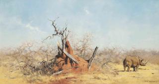 David Shepherd - Sleepy rhino