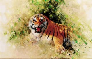 David Shepherd - Study for \'Tiger Fire\'