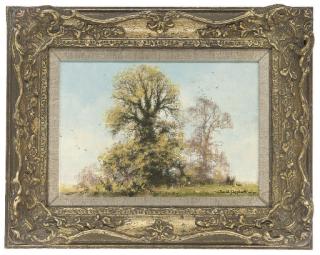 David Shepherd - Summertime