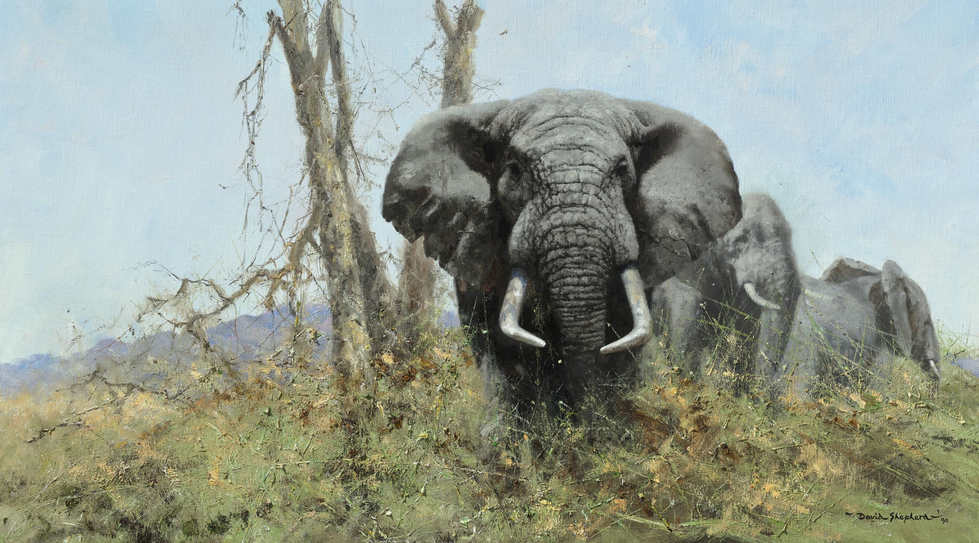 David Shepherd - The Gentle Giant