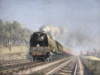 David Shepherd - The Golden Arrow