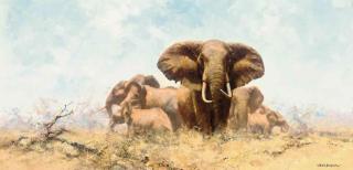 David Shepherd - The King Of The Herd