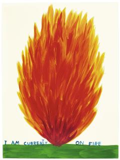 David Shrigley - I Am Currently On Fire