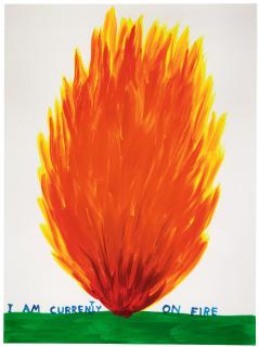 David Shrigley - I Am Currently On Fire
