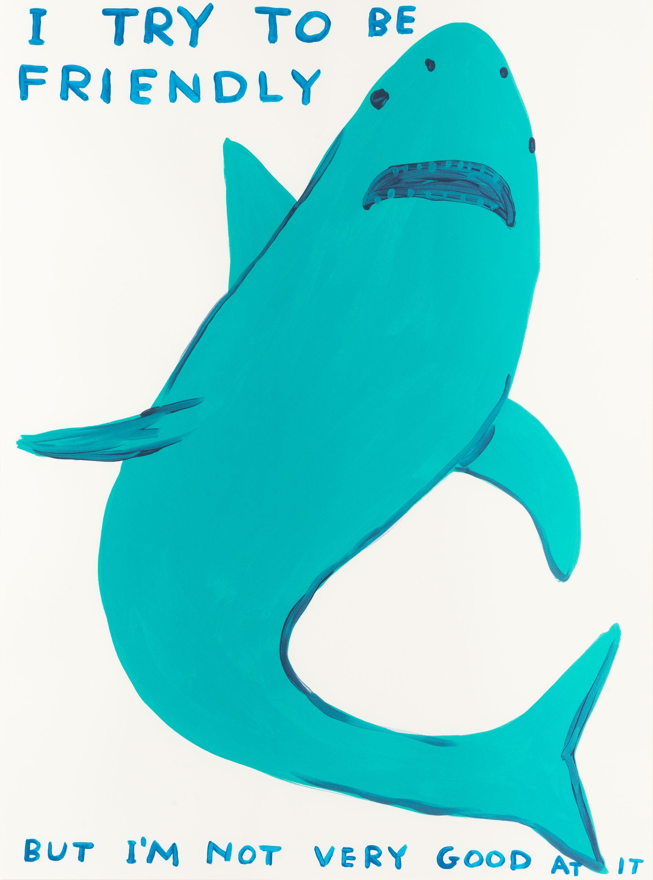 David Shrigley - I Try to be Friendly