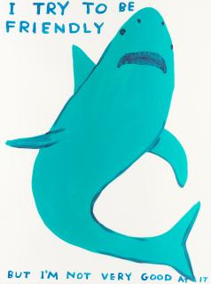 David Shrigley - I Try to be Friendly