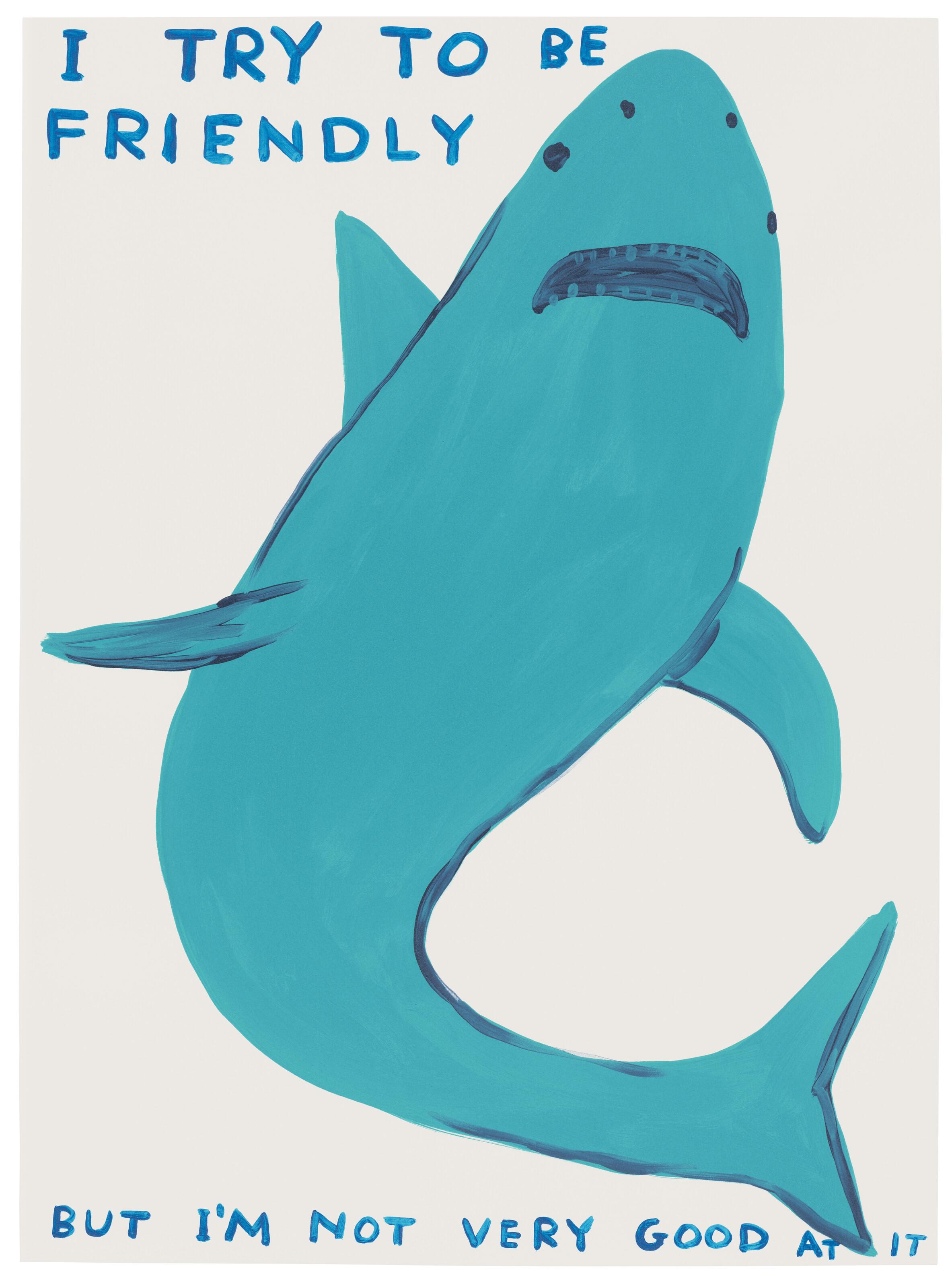 David Shrigley - I Try To Be Friendly