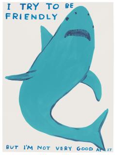 David Shrigley - I Try To Be Friendly