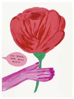 David Shrigley - I\'M Sorry For Being Awful