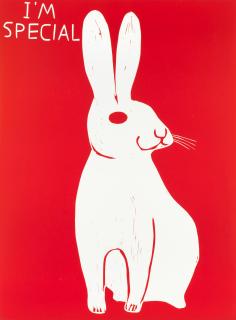 David Shrigley - I\'m Special