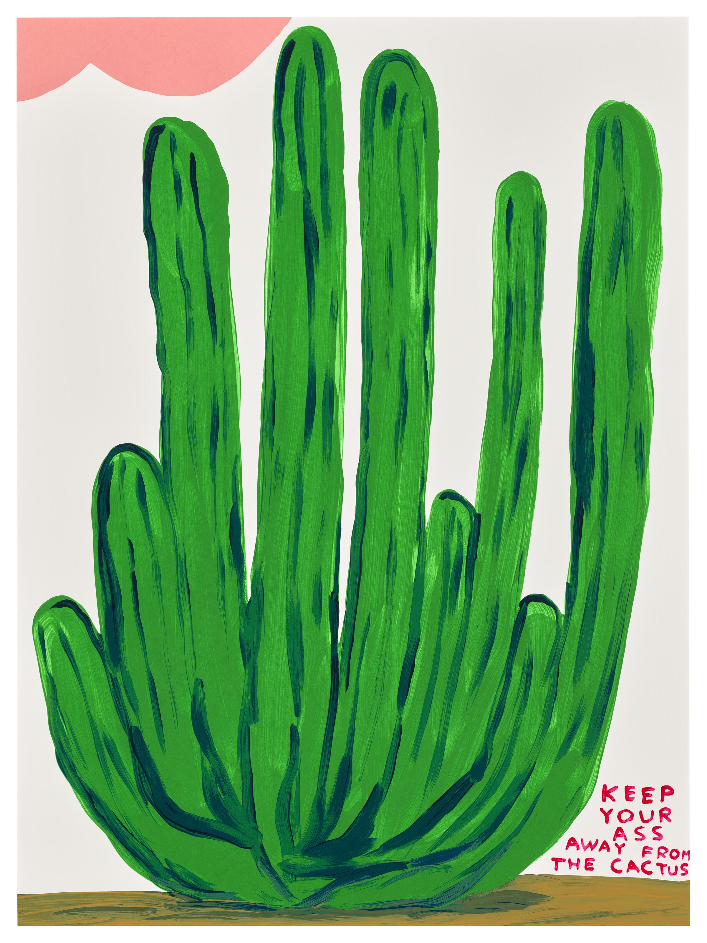 David Shrigley - Keep your Ass away from the Cactus