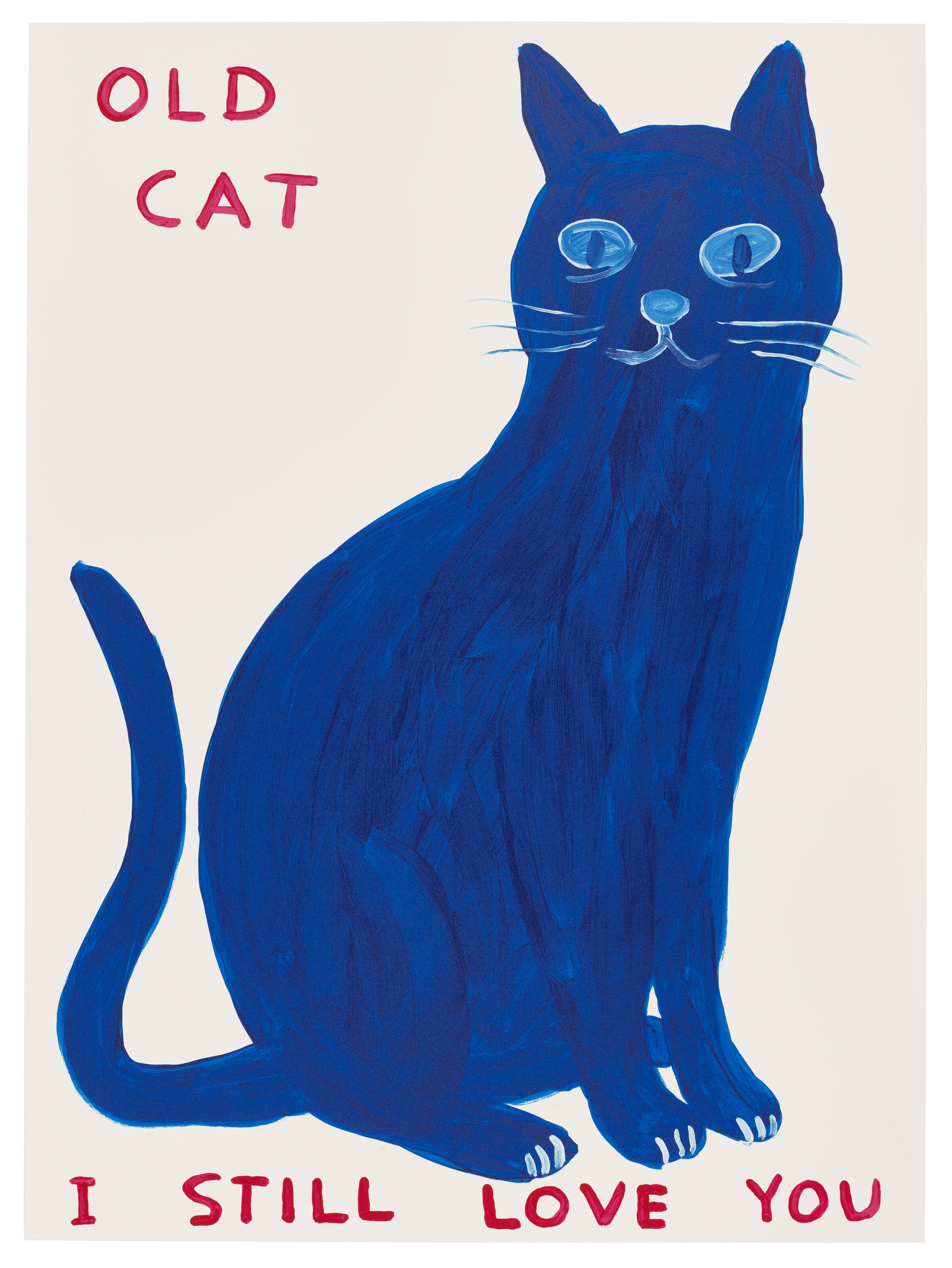 David Shrigley - Old Cat