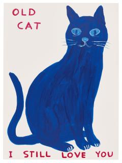 David Shrigley - Old Cat
