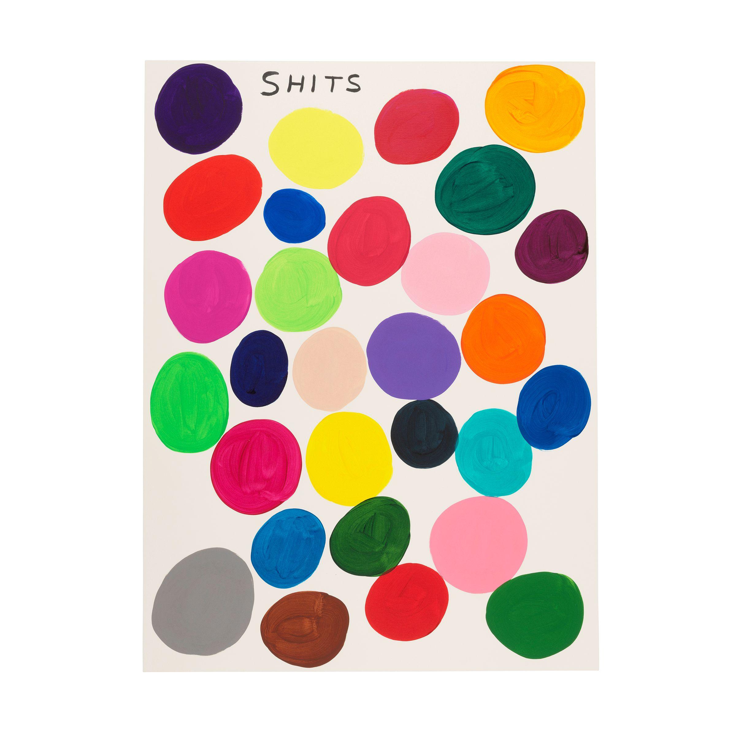 David Shrigley - Shits