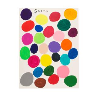 David Shrigley - Shits