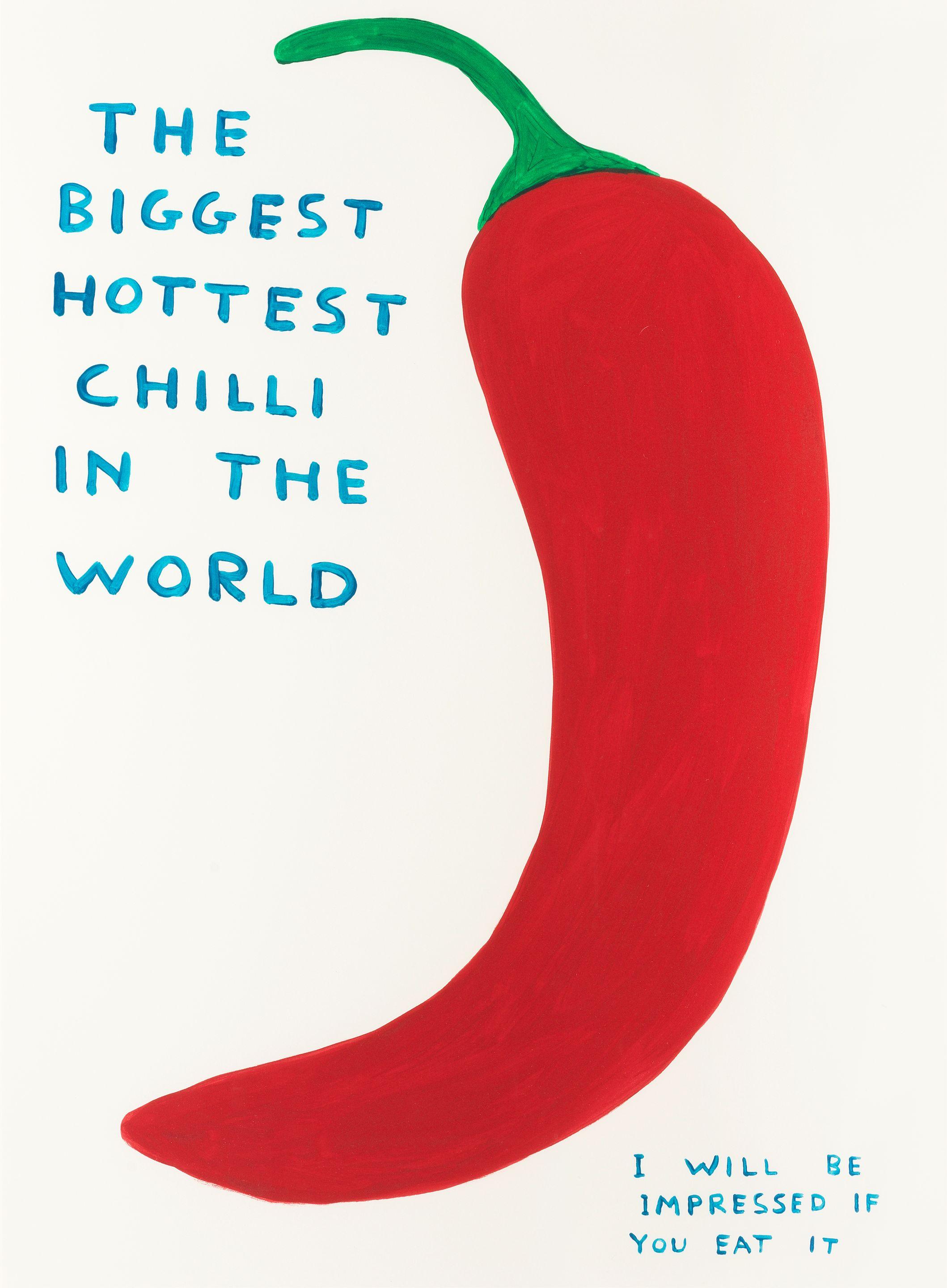 David Shrigley - The Biggest Hottest Chilli in The World