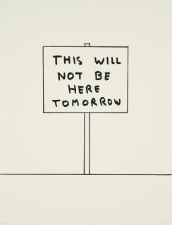 David Shrigley - This will not be here tomorrow.
