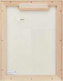 David Shrigley - Untitled (Don\'t Blame the Idiots)