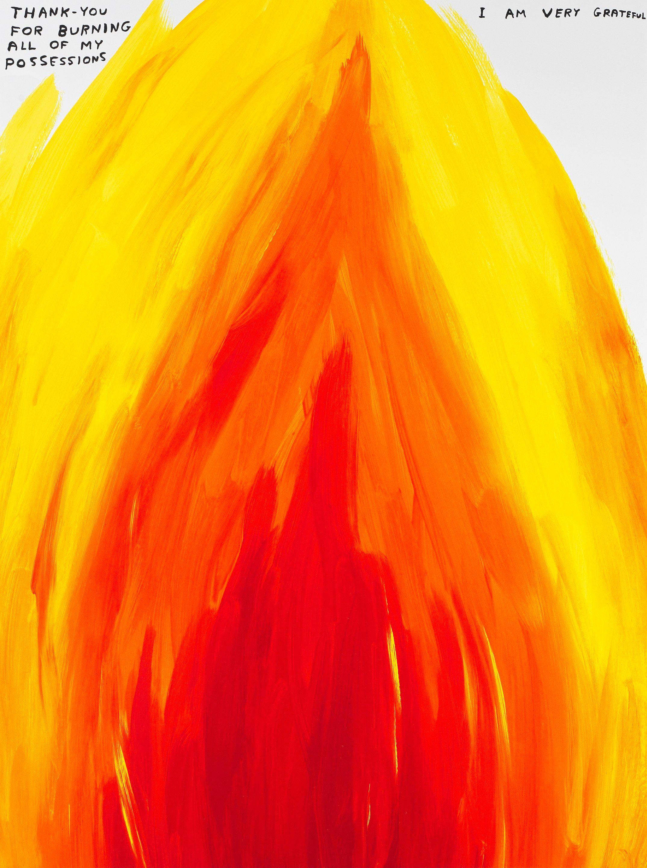 David Shrigley - Untitled (Thank You For Burning All My Possessions)