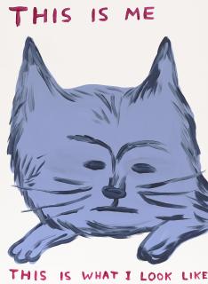 David Shrigley - Untitled