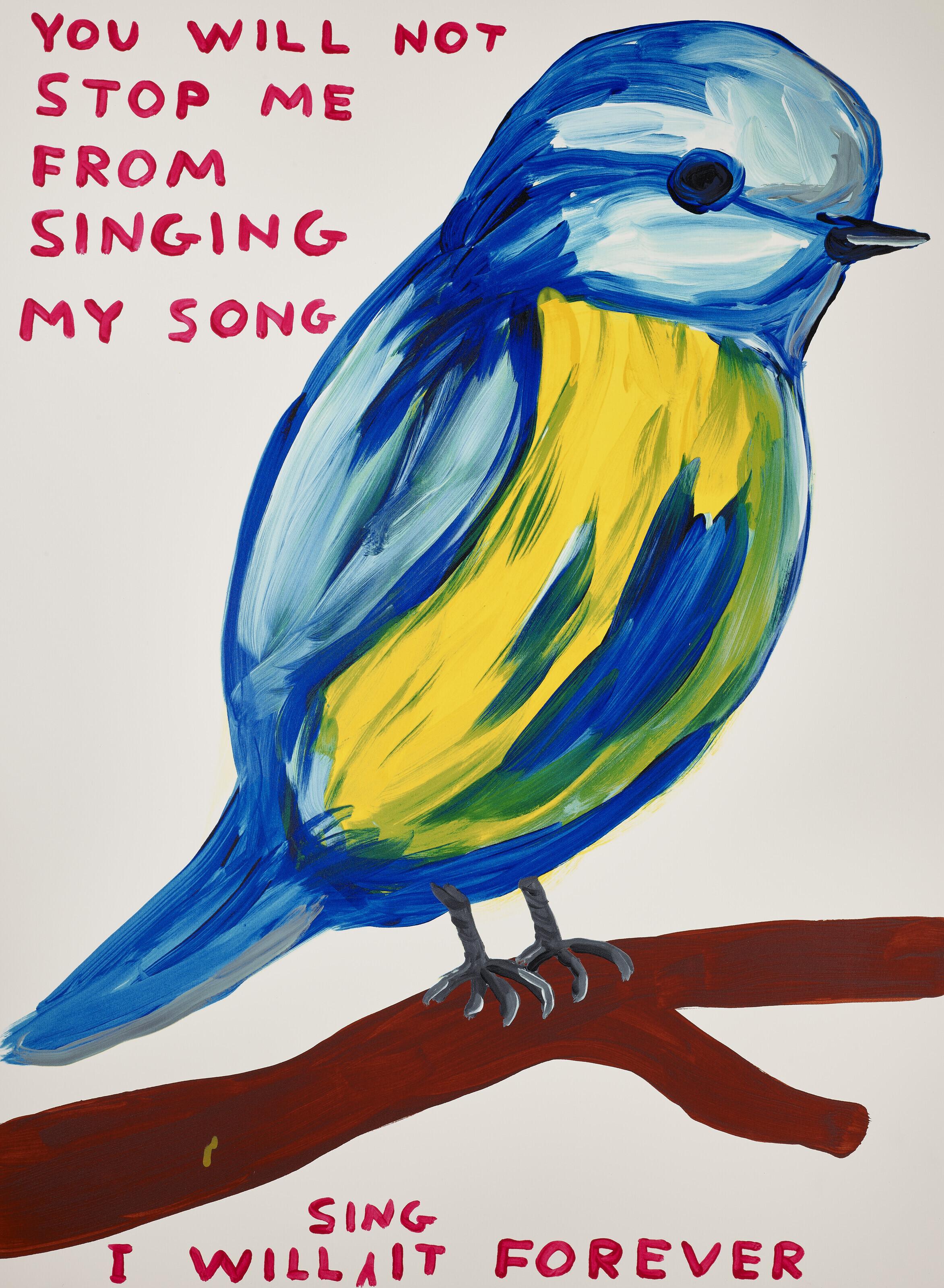 David Shrigley - You will not stop me from singing my song