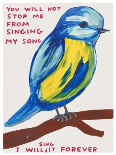 David Shrigley - You Will Not Stop Me From Singing My Song