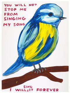 David Shrigley - You Will Not Stop Me From Singing My Song