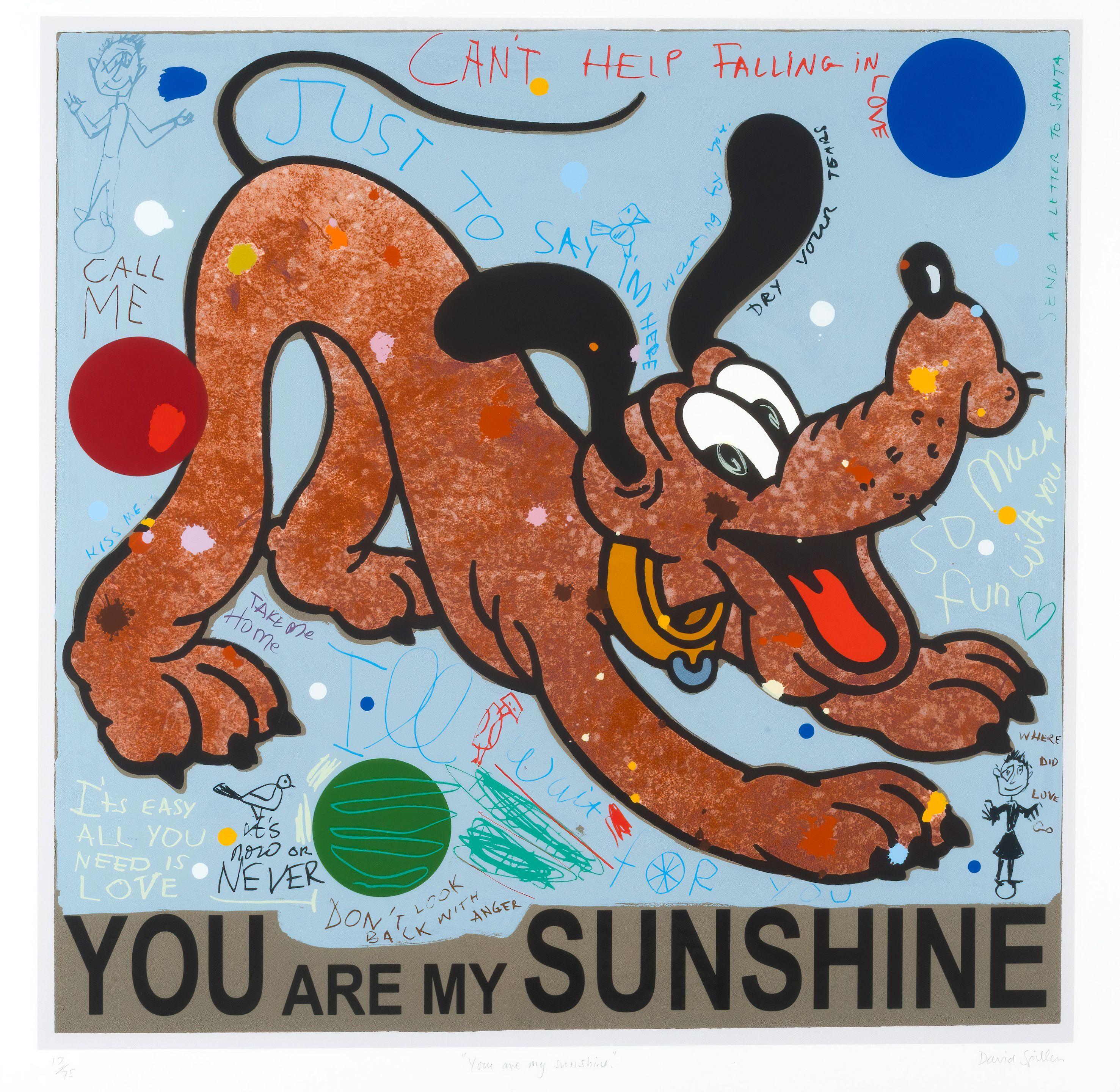 David Spiller - You are my Sunshine, 2014