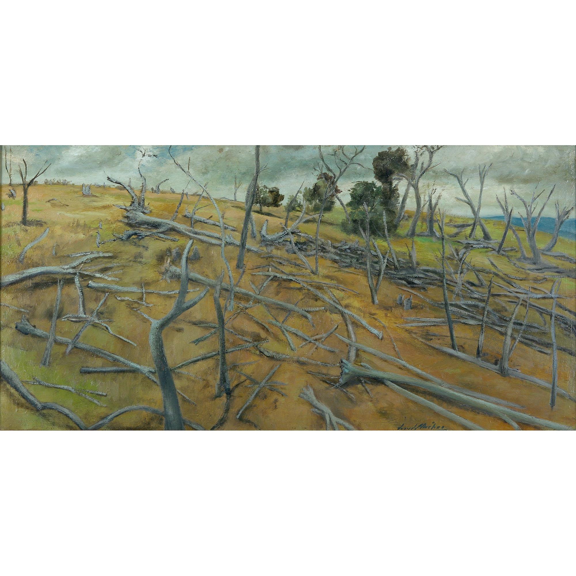 David Strachan - Australian Tree Cemetery