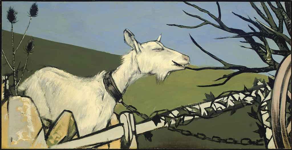 David Tindle - A goat nibbling on a branch