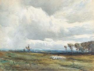 David West - A shepherd tending his flock before an approaching storm
