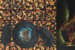 David Wojnarowicz - Dung Beetles