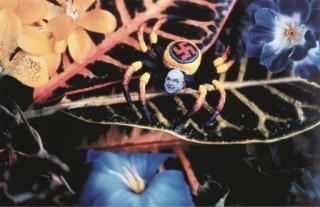 David Wojnarowicz - Sub-Species Helms, Senatorius, 1990