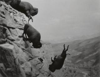 David Wojnarowicz - Untitled (Buffaloes), 1988-89