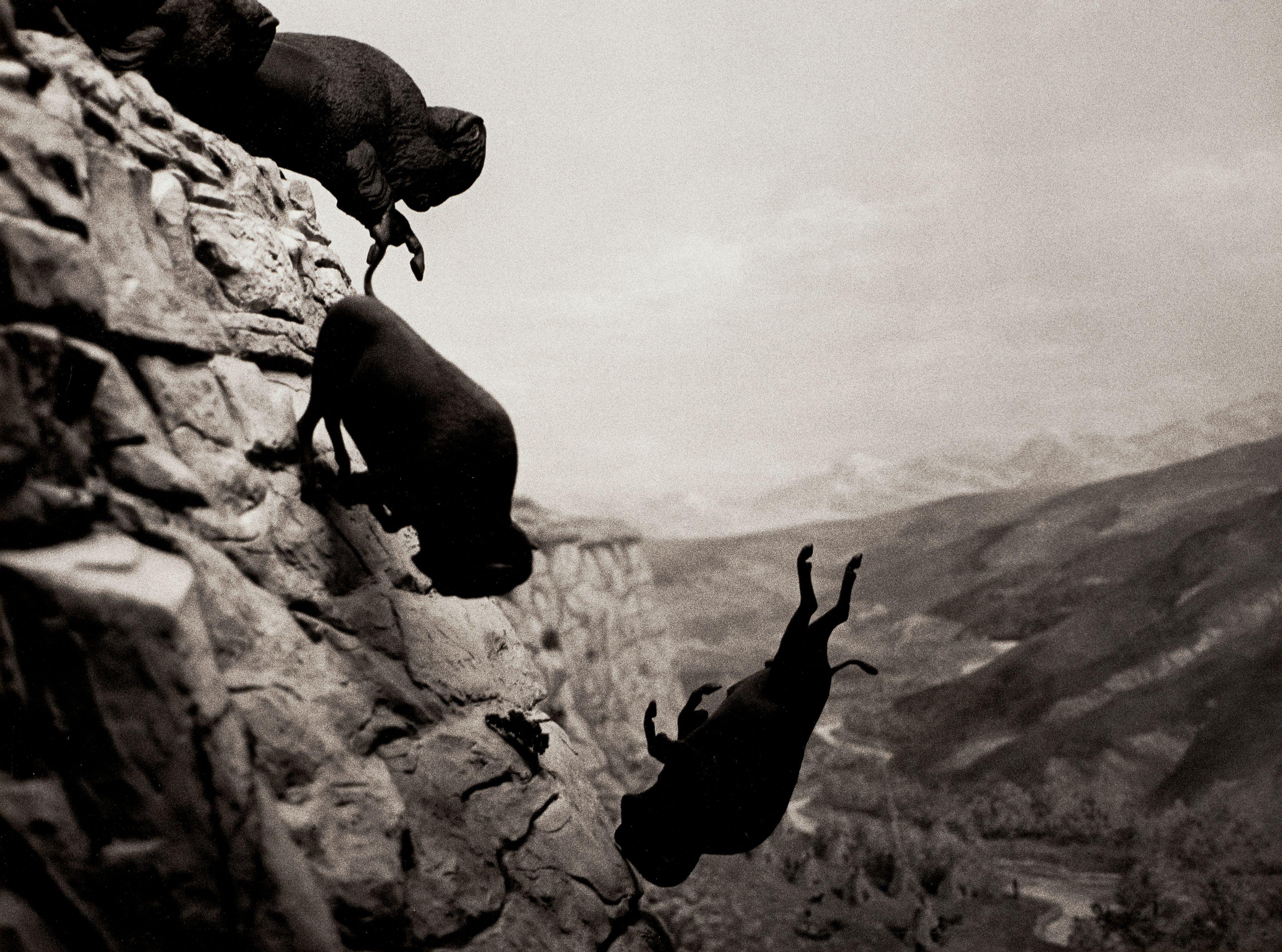 David Wojnarowicz - Untitled (Buffaloes)