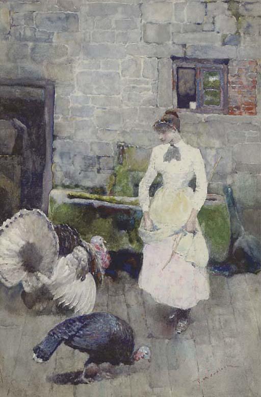 David Woodlock - Feeding Time