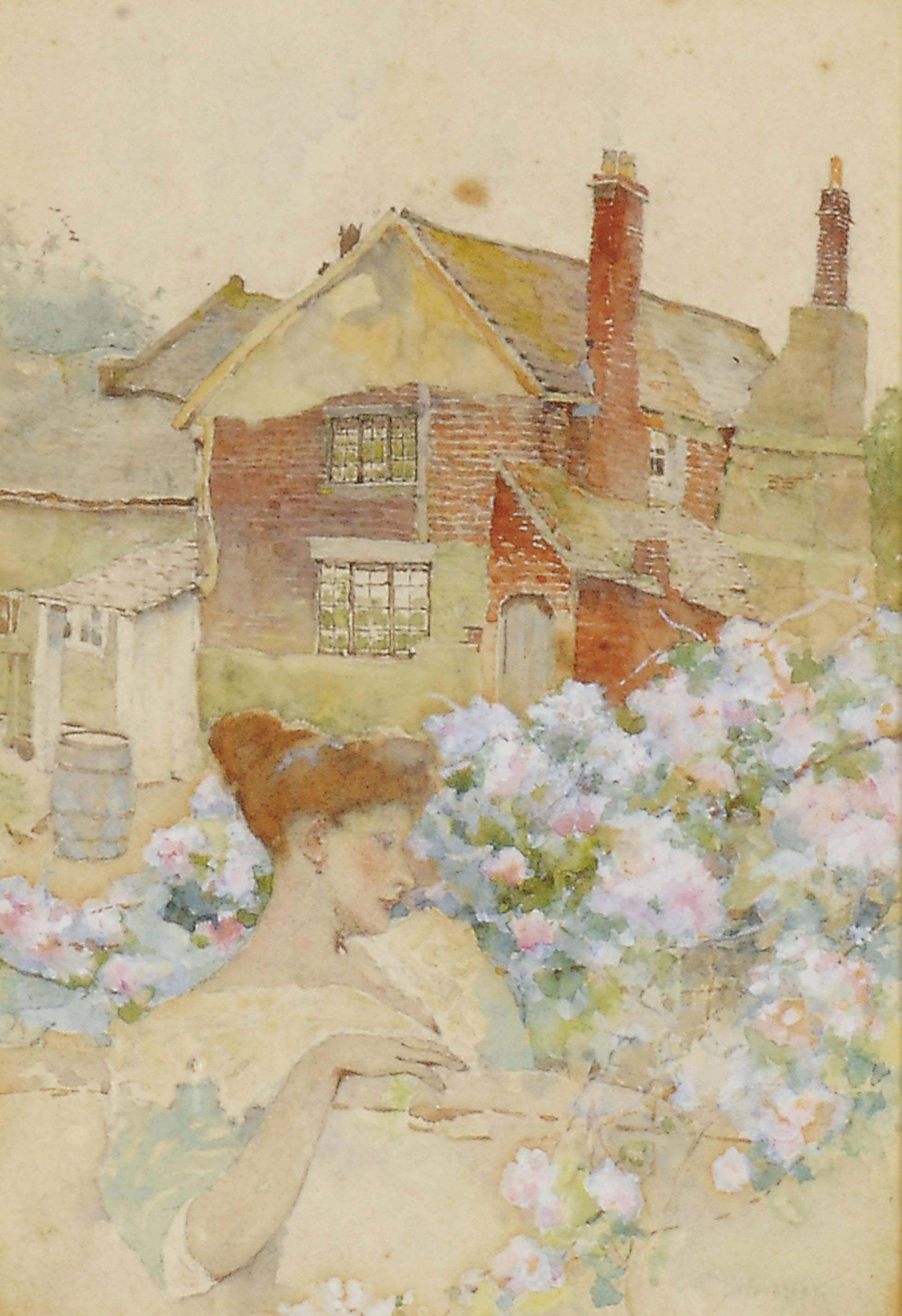 David Woodlock - In the rose garden