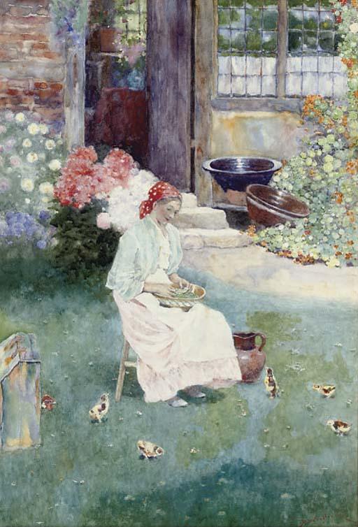 David Woodlock - Shelling peas, chicks looking on in expectation