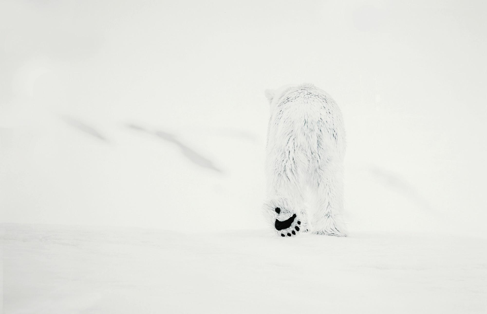 David Yarrow - 78 Degrees North, Svalbard, Norway