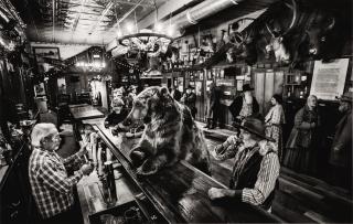 David Yarrow - A Bear Walks Into A Bar, 2016