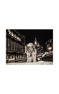 David Yarrow - It Is Only A Matter of Time 2